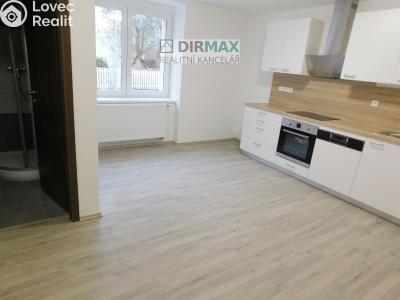 Аренда квартиры 1+1 Plzeň, Dělnická č. 3