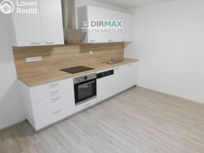 Аренда квартиры 1+1 Plzeň, Dělnická č. 4