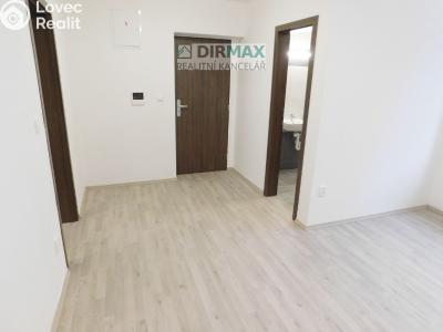 Аренда квартиры 1+1 Plzeň, Dělnická č. 5