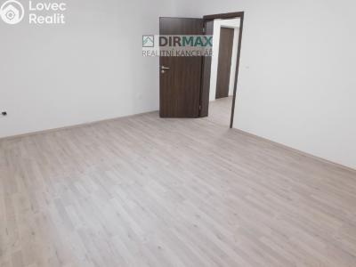 Аренда квартиры 1+1 Plzeň, Dělnická č. 8