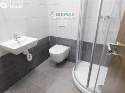 Аренда квартиры 1+1 Plzeň, Dělnická č. 9
