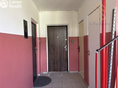 Аренда квартиры 2+1 Litvínov, Kopistská 231 č. 19