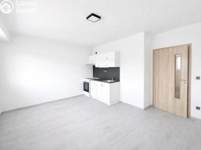Rent apartment 1+KK Strančice, Průmyslová 62 č. 1