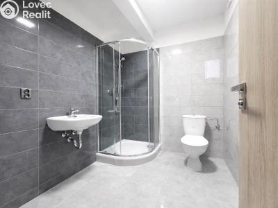 Rent apartment 1+KK Strančice, Průmyslová 62 č. 3