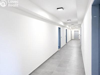 Rent apartment 1+KK Strančice, Průmyslová 62 č. 4