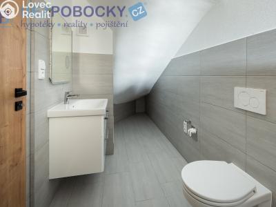 Продажа семейного дома Malá Losenice č. 10