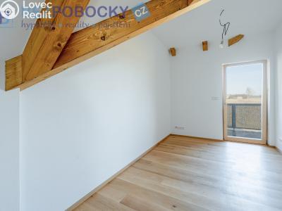 Продажа семейного дома Malá Losenice č. 13