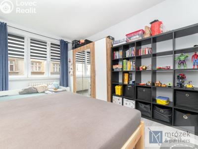 Sale apartment 2+1 Český Těšín, Havlíčkova č. 8