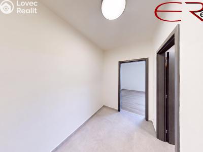Sale apartment 1+1 Tanvald, Horská č. 2