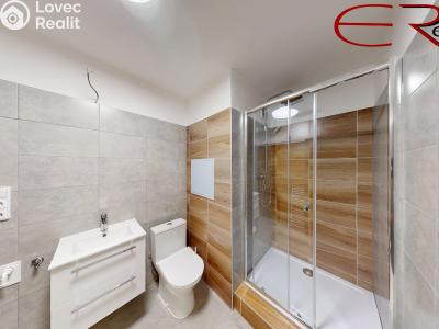 Sale apartment 1+1 Tanvald, Horská č. 6