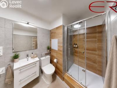 Sale apartment 1+1 Tanvald, Horská č. 7