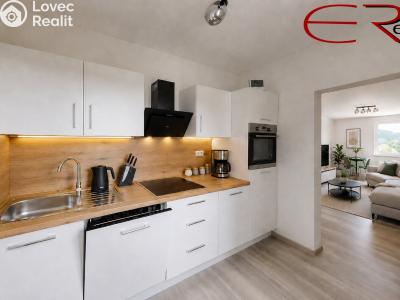 Sale apartment 1+1 Tanvald, Horská č. 9