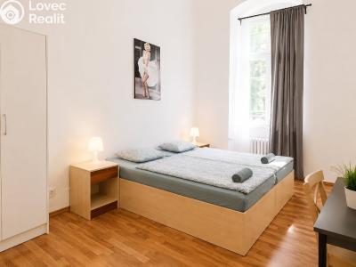 Rent hotel Praha, Seifertova č. 7