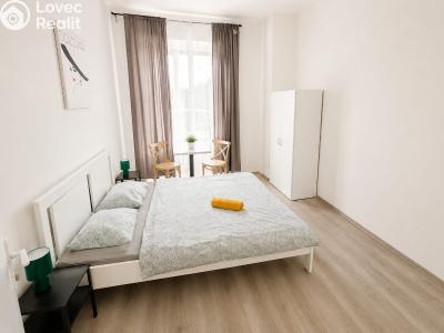 Rent hotel Praha, Seifertova č. 17