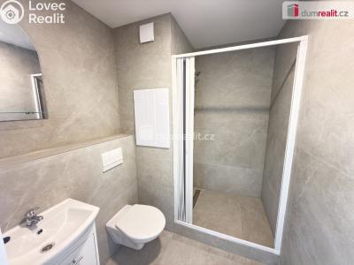 Prodej bytu 1+1 Klášterec nad Ohří, Družstevní č. 5