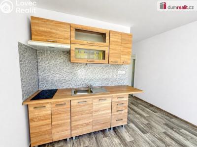 Prodej bytu 1+1 Klášterec nad Ohří, Družstevní č. 6