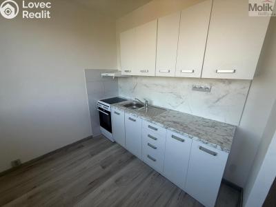 Аренда квартиры 1+1 Most, Javorová 3101 č. 1