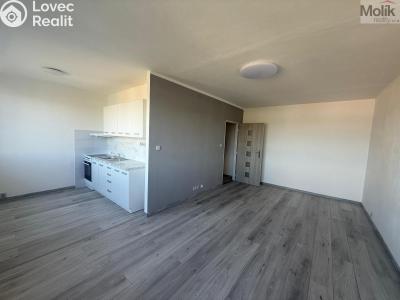 Аренда квартиры 1+1 Most, Javorová 3101 č. 2