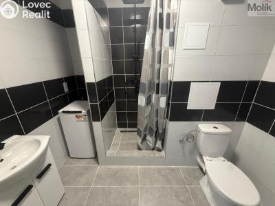 Аренда квартиры 1+1 Most, Javorová 3101 č. 5