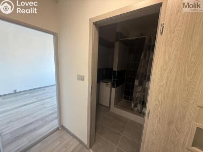 Аренда квартиры 1+1 Most, Javorová 3101 č. 8