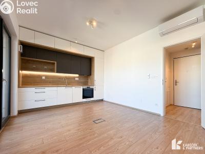 Оренда квартири 1+KK Brno, Bratislavská č. 4