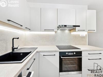 Sale apartment 3+1 Hodonín, Cihlářská čtvrť č. 1