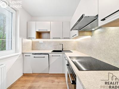 Sale apartment 3+1 Hodonín, Cihlářská čtvrť č. 3