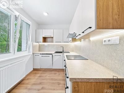Sale apartment 3+1 Hodonín, Cihlářská čtvrť č. 4