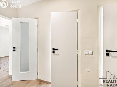 Sale apartment 3+1 Hodonín, Cihlářská čtvrť č. 22