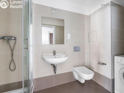 Аренда квартиры 1+KK Praha, V háji č. 6