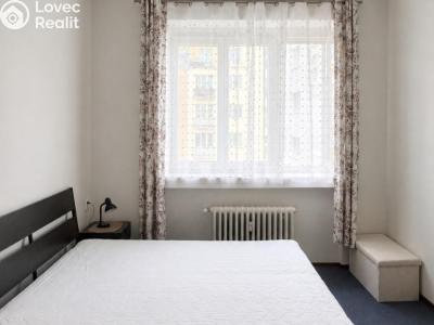 Аренда квартиры 1+1 Praha, Lucemburská č. 1
