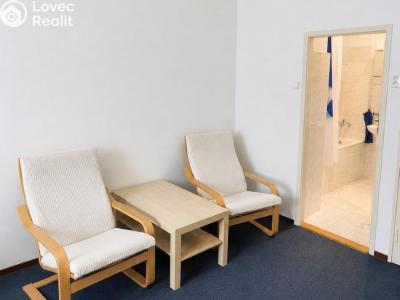 Аренда квартиры 1+1 Praha, Lucemburská č. 5