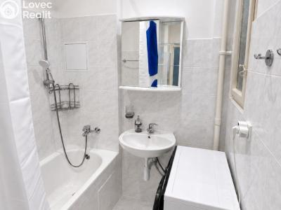Аренда квартиры 1+1 Praha, Lucemburská č. 6