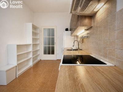 Аренда квартиры 1+1 Praha, Lucemburská č. 9