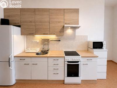 Аренда квартиры 1+1 Praha, Lucemburská č. 10