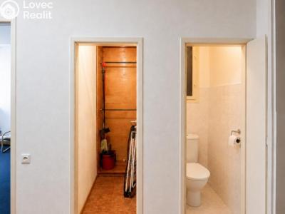 Аренда квартиры 1+1 Praha, Lucemburská č. 16