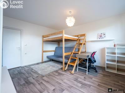 Sale apartment 1+KK Hradec Králové, Říční č. 6