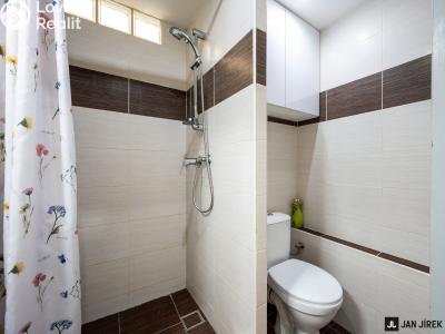 Sale apartment 1+KK Hradec Králové, Říční č. 12