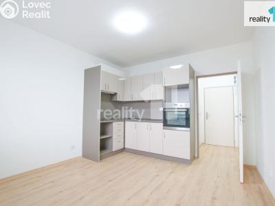 Аренда квартиры 1+1 Liberec, Rychtářská č. 2