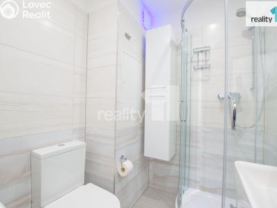 Аренда квартиры 1+1 Liberec, Rychtářská č. 11