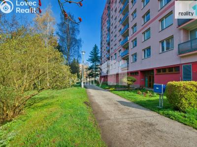 Аренда квартиры 1+1 Liberec, Rychtářská č. 15