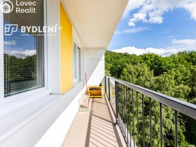 Prodej bytu 2+1 Osek, Hrdlovská 645 č. 14