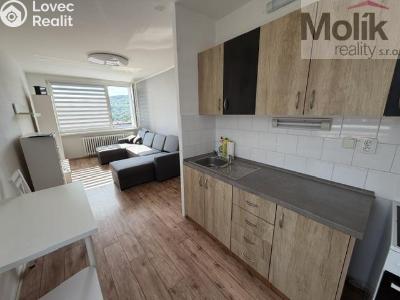 Rent apartment 2+KK Bílina, Síbova 315 č. 4