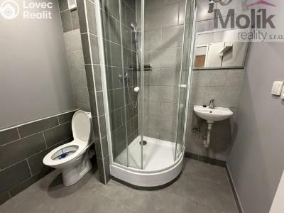 Rent apartment 2+KK Bílina, Síbova 315 č. 6