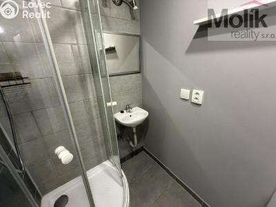 Rent apartment 2+KK Bílina, Síbova 315 č. 7