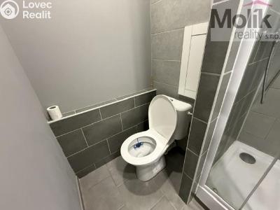 Rent apartment 2+KK Bílina, Síbova 315 č. 8