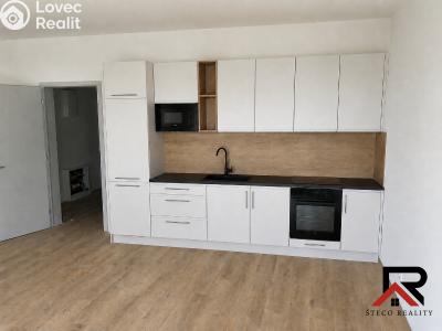Аренда квартиры 1+KK Třebíč, Modřínová č. 10
