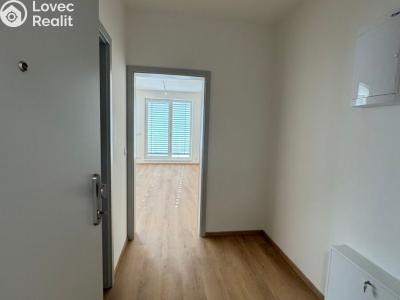 Pronájem bytu 1+KK Třebíč, Modřínová č. 4