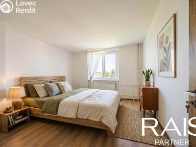 Sale apartment 2+1 Brno, Elišky Krásnohorské č. 1