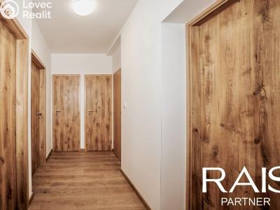Sale apartment 2+1 Brno, Elišky Krásnohorské č. 4